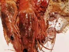 -上海中航虹桥机场泊悦酒店