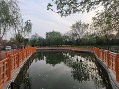 -太阳宫公园