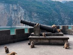 -白帝城·瞿塘峡景区