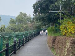 -树山生态村