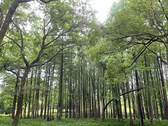 -杭州植物园