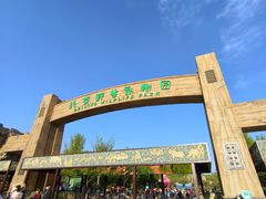 -北京野生动物园
