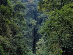 -青城山