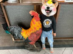 -环宇草鸡店·特色炒鸡