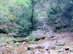 -莫干山风景区