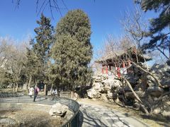 -宣武艺园