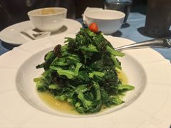 清炒豆苗-三利音·玖弄小鲜(浦东嘉里城店)