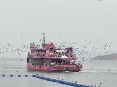 -海驴岛(荣成市)