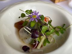 -蝶舍·MAISON PAPILLON