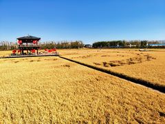 -陆地游轮吉林神农温泉