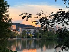 -浙江农林大学(东湖校区)