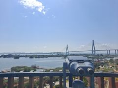 -芒洲湿地公园
