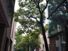 -徐家汇源景区-衡山坊