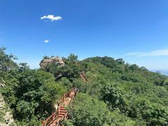 -大岭沟猕猴桃谷风景区