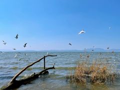 -捞渔河湿地公园