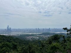 -岳麓山风景名胜区