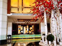 -惠州康帝国际酒店