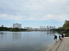 -南宁南湖公园