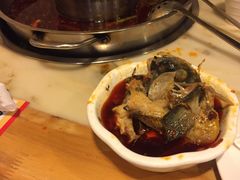 -蜀滋香鲜鱼美蛙火锅(339店)