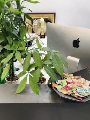 -CIT造型·烫发·染发