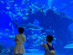 -成都浩海立方海洋公园