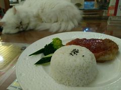 泰汁鸡扒-more than meow吴止猫主题餐厅(公馆店)