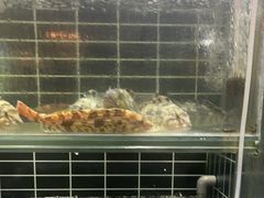 -宏运厨房·海鲜青岛菜·生日宴(城市阳台店)