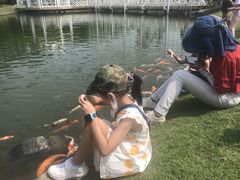 -迪茵湖田家舍生态农场