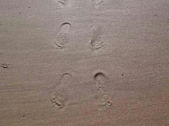 -那香海钻石沙滩浴场