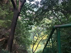 -老象峰