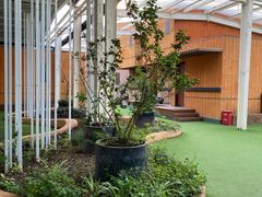 -前小桔亲子创意农场·草莓采摘·露营烧烤