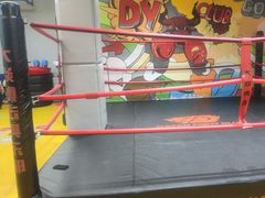 -大焱搏击·泰拳·拳击俱乐部(大柏树店)