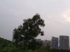 -聚龙山公园