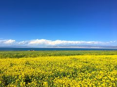 -青海湖国家重点风景名胜区