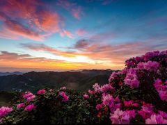 -光雾山旅游景区