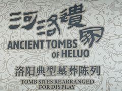 -洛阳古墓博物馆