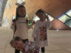-重庆国际马戏城