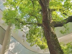 -湖北美术学院(昙华林校区)