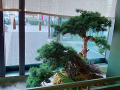 -潮上潮(南中环店)