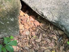 -三块石国家森林公园