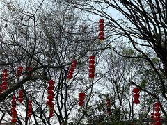 -晋江五店市传统文化旅游区