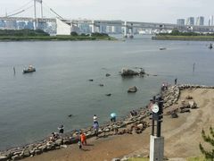 -台场海滨公园船码头