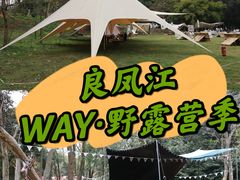 -南宁良凤江国家森林公园