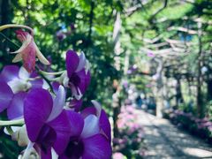 -广西壮族自治区药用植物园