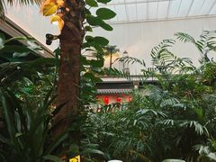 -巷子里·红谷宴(万象城店)