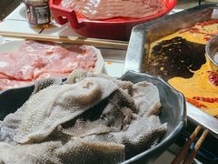 铜元屠场鲜毛肚-铜元老码头鳝鱼火锅