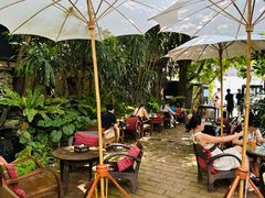 -Fern Forest Cafe