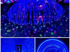 -横店影视城梦幻谷园区