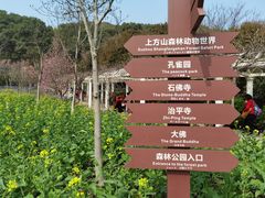 -苏州上方山国家森林公园