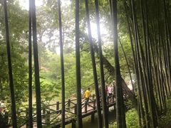 -宝岩生态观光园